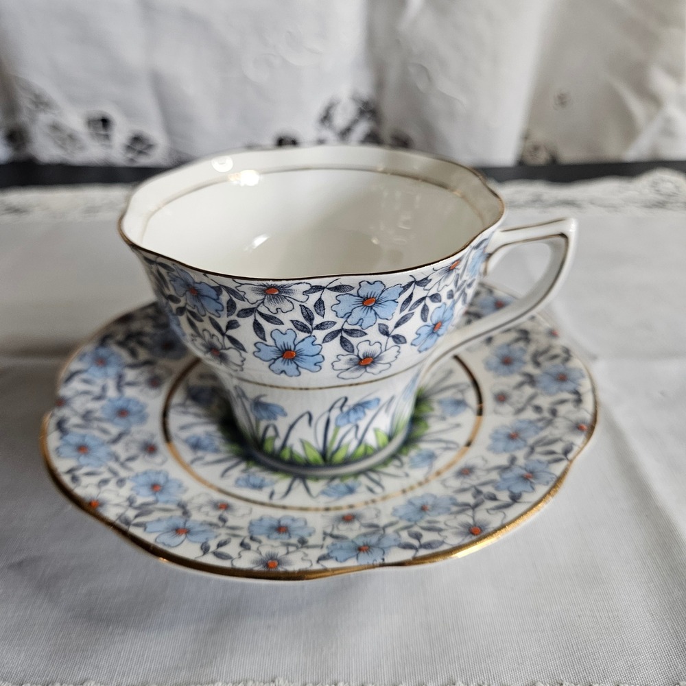 Vintage Rosina Bone China Chintz Blue Floral Cup and‎ Saucer Pattern 496 England